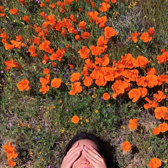 Meet your Posher, Jess - Picture 4 of 4